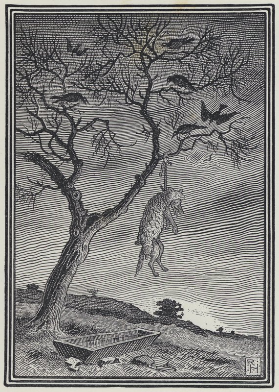 Vargen i fårkläder (gravyr) av Richard Heighway