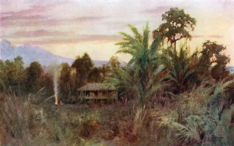 En Forest Tai av Robert George Talbot Kelly