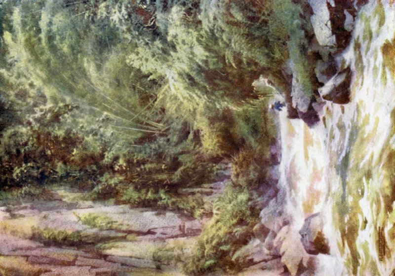 En bergstorrent av Robert George Talbot Kelly