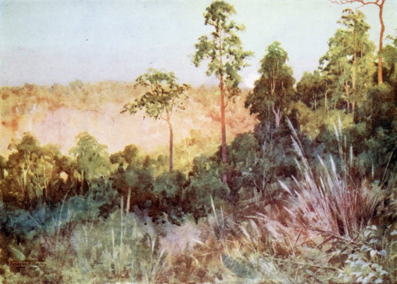Djungel på Lashio-linjen av Robert George Talbot Kelly
