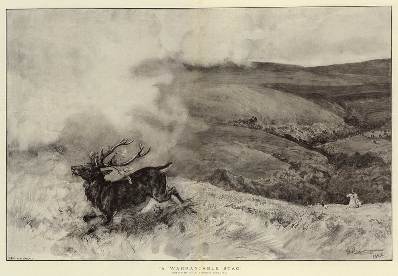 En berättigad hjort av Robert Walker Macbeth