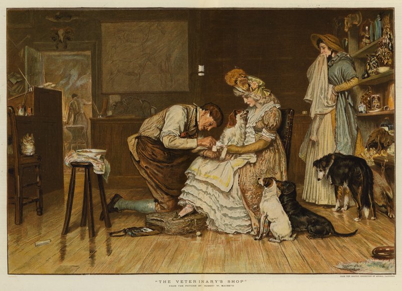 Veterinärens butik (kromolit) av Robert Walker Macbeth