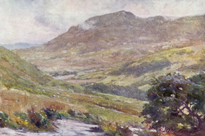 Ett bergspass, middag (färg litho) av Robert (after) Fowler