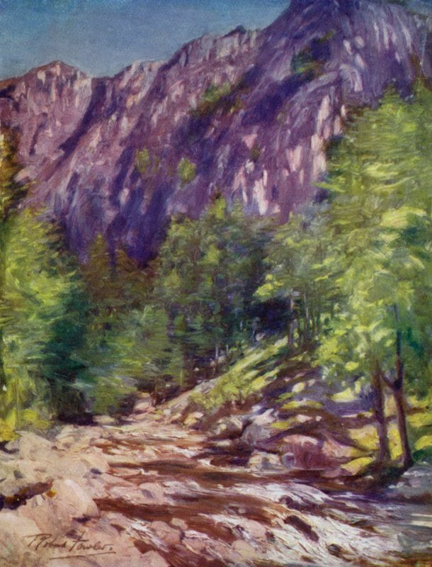 Aberglaslyn (färg litho) av Robert (after) Fowler