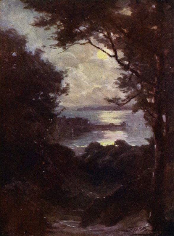 Beaumaris, Moonlight (färg litho) av Robert (after) Fowler