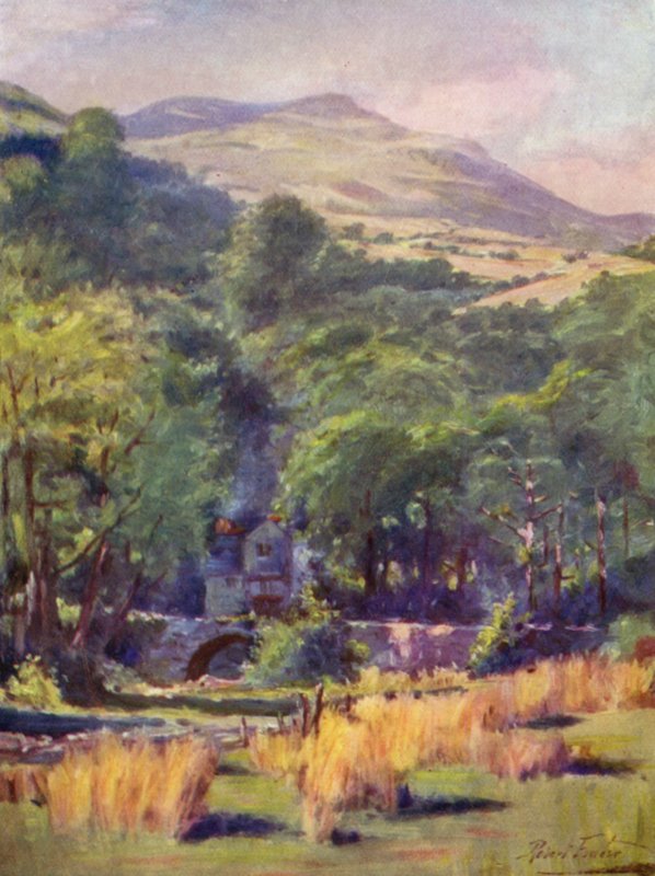 Duffws Mountain (färg litho) av Robert (after) Fowler