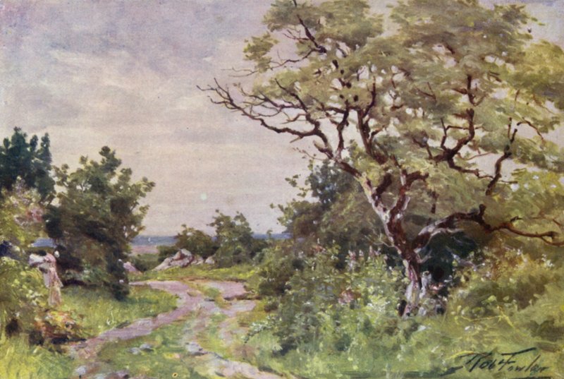 Field Path, nära Llanrug (färg litho) av Robert (after) Fowler
