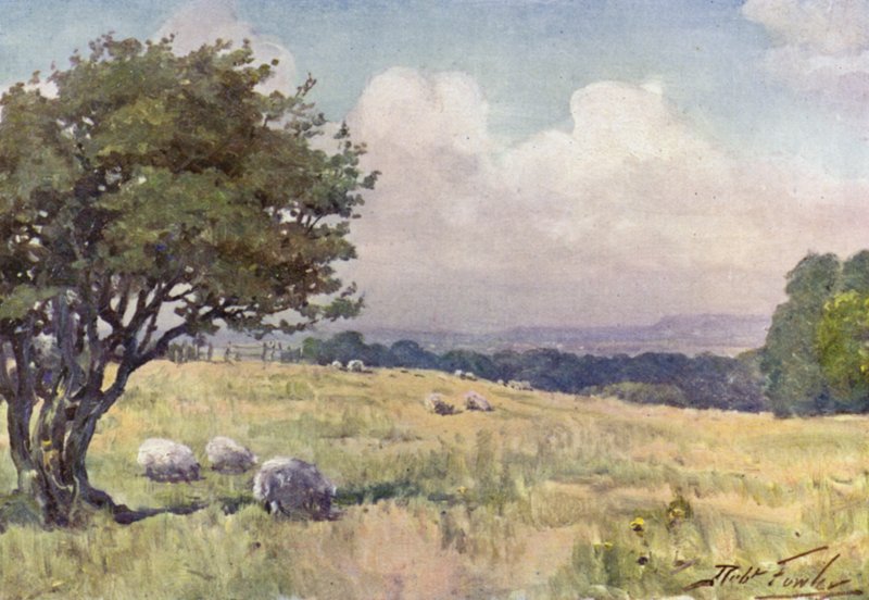 Sunny Field, nära Llanberis (färg litho) av Robert (after) Fowler