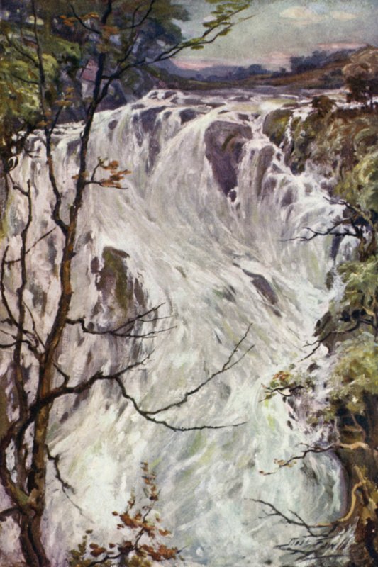 Swallow Falls, Bettws-y-Coed (färg litho) av Robert (after) Fowler