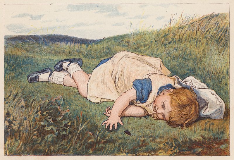 Flicka fascinerad av en skalbagge (färglitografi) av Robert Barnes