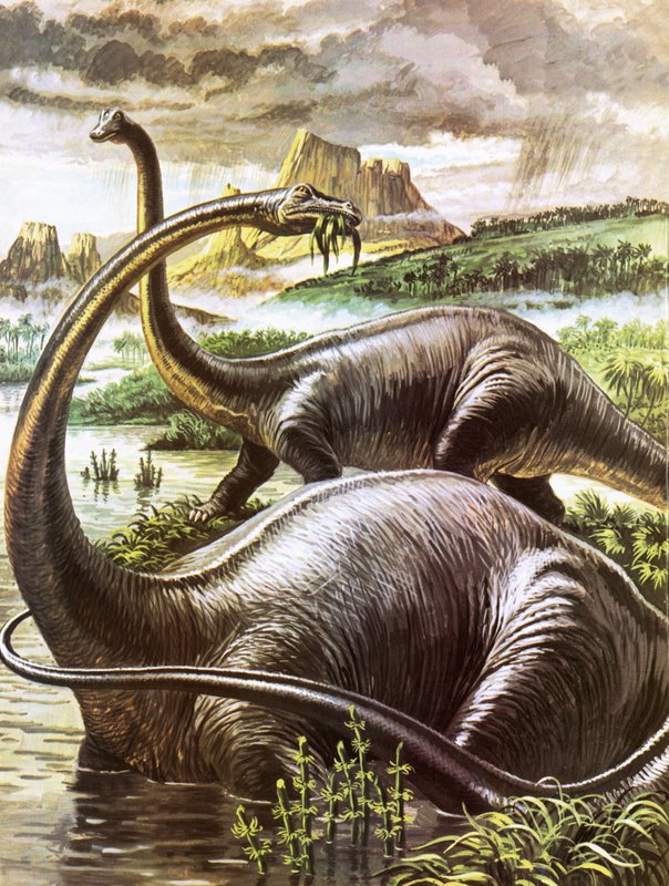 Diplodocus av Roger Payne