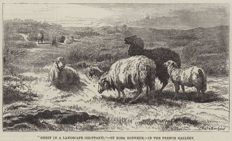 Får i ett landskap, Bretagne av Rosa Bonheur
