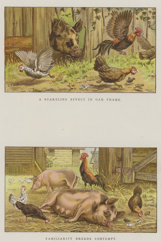 Gårdsscener (chromolitho) av S.T. Dadd