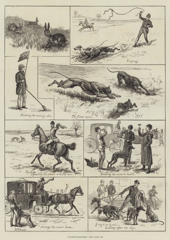 Coursing-matcher (gravyr) av S.T. (after) Dadd