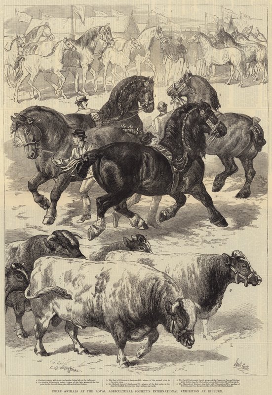 Prisdjur vid Royal Agricultural Society