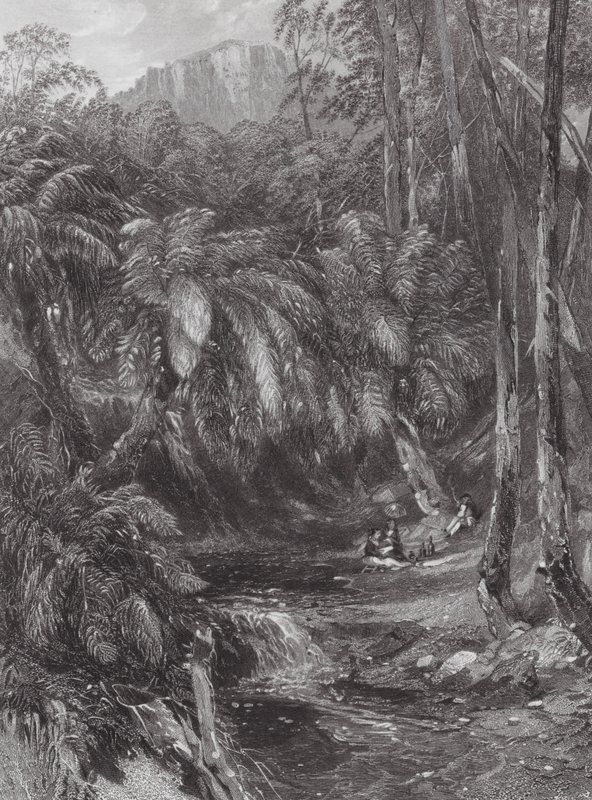 Australien: En dal med ormbunkar (gravyr) av Samuel (after) Prout