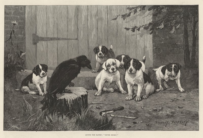 Quoth the Raven, Aldrig Mer! av Stanley Berkeley