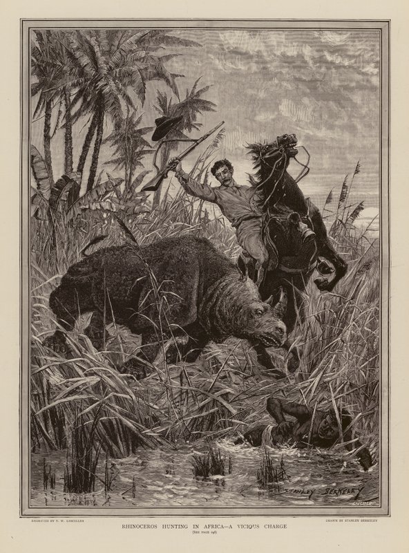Noshörningsjakt i Afrika (gravyr) av Stanley (after) Berkeley