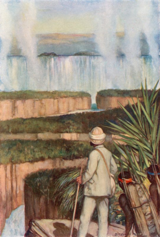Livingstone vid Victoriafallen av Stephen Reid