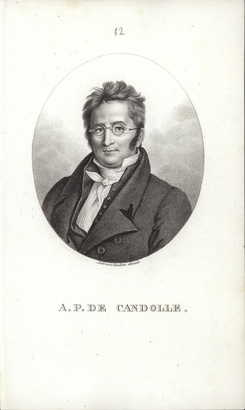 Augustin Pyramus de Candolle av Swiss School