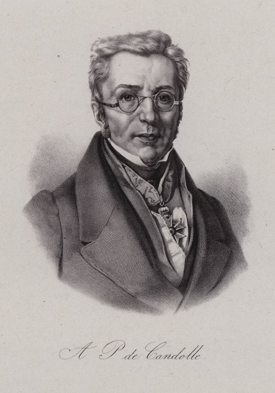 Augustin Pyramus från Kuba, schweizisk botaniker (gravyr) av Swiss School