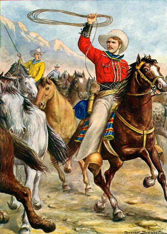 Amerikansk cowboyswede av Tancredi Scarpelli