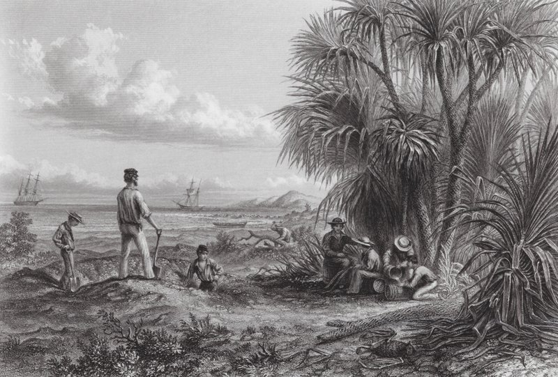 Australien: En upptäcktsresandes läger (gravyr) av Thomas (after) Baines