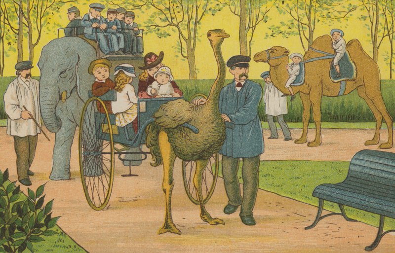 Paris: djurparken (färg litho) av Thomas Crane