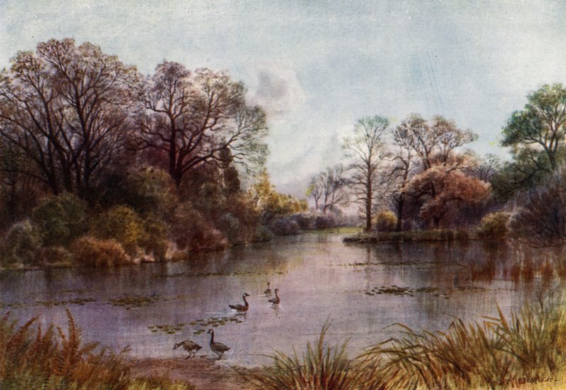 Kew Gardens: The Lake (färg litho) av Thomas Mower Martin