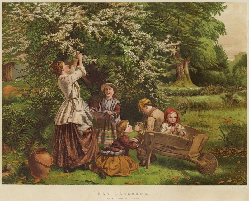 majblomningar (chromolitho) av Thomas P. Hall
