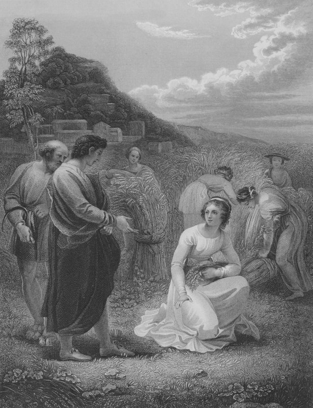 Ruth Gleaning, Rut 2, vers 1-15 av Thomas Stothard