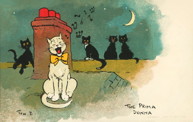 Prima donna (färglitografi) av Tom Browne
