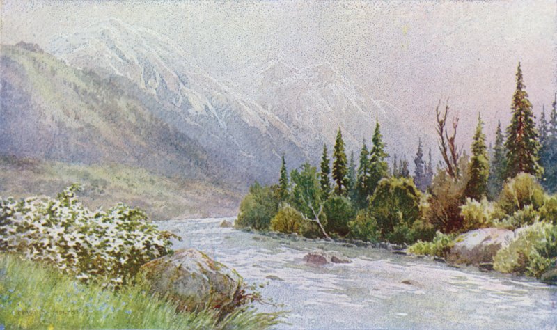Tidig morgon nära Pahalgam, Lidder Valley av Unbekannt Unbekannt