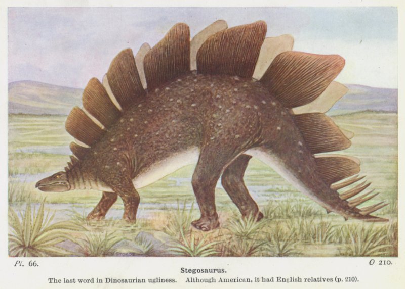Stegosaurus (färg litho) av W. J. Stokoe