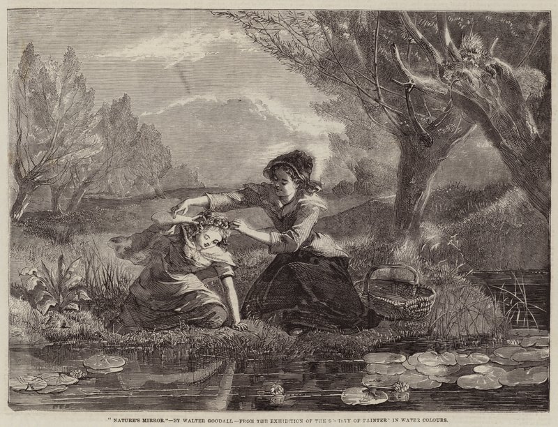 Naturens spegel av Walter Goodall