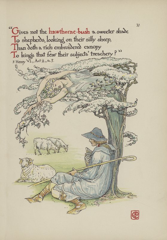 Blommor från Shakespeares trädgård av Walter Crane
