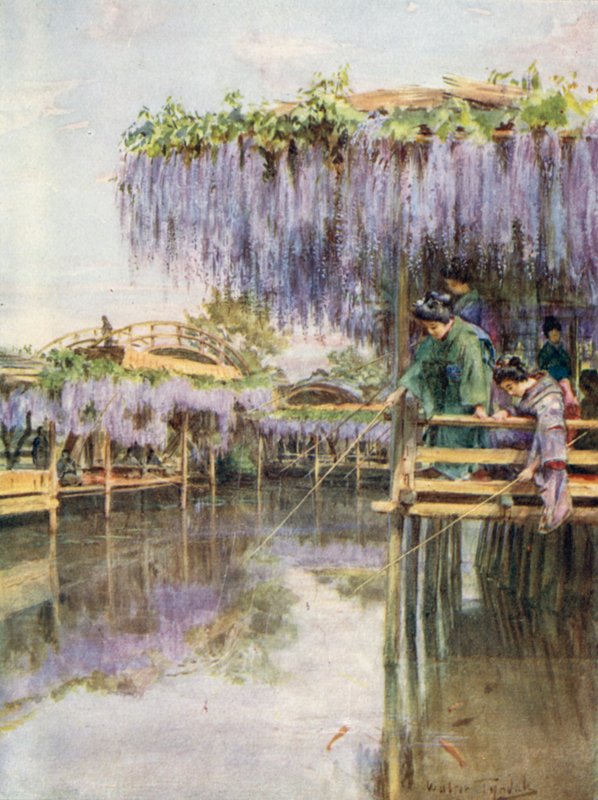 Wistaria vid Kameido av Walter Frederick Roofe Tyndale
