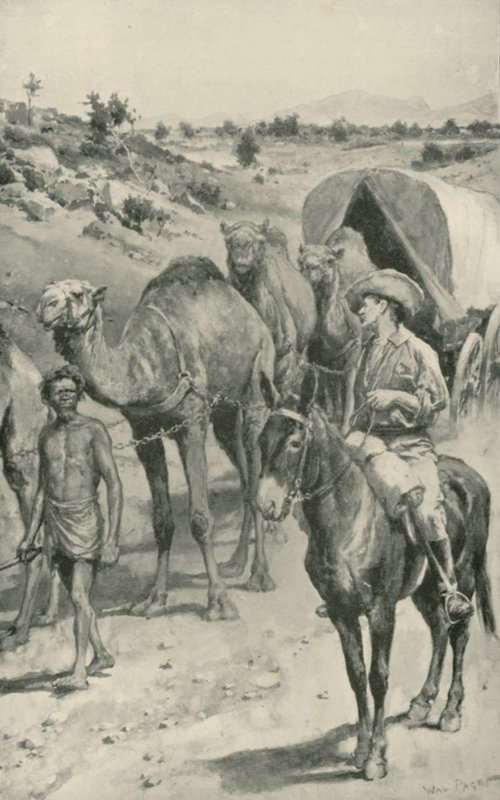 En kamelvagn, västra Australien av Walter Stanley Paget