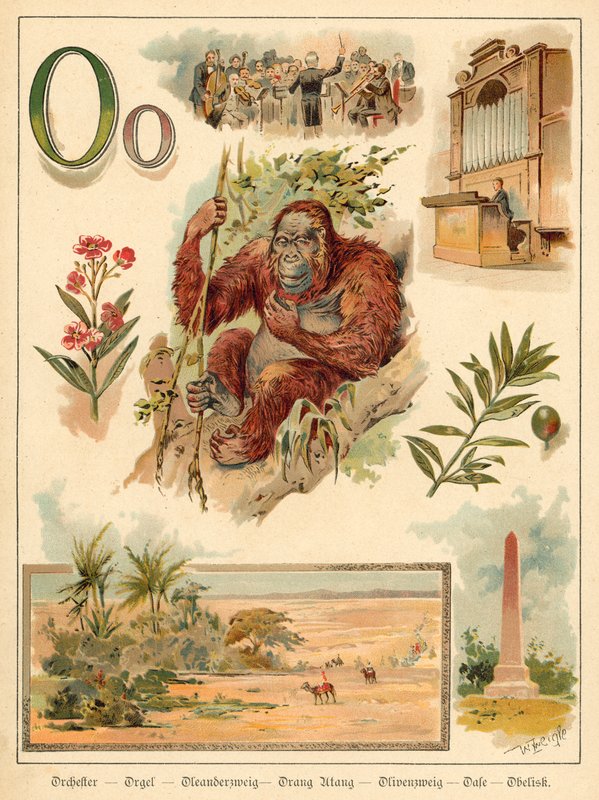Bokstaven O (chromolitho) av Walter Zweigle