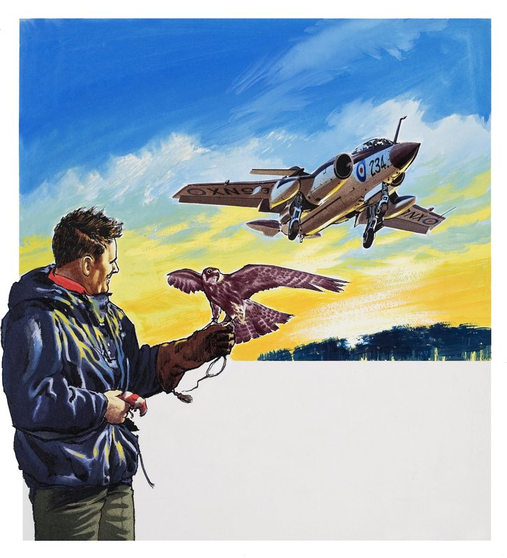 Falcon Flight (gouache på papper) av Wilf (20th century) Hardy