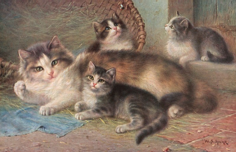 Vykort med katt (färglitografi) av Wilhelm Schwar