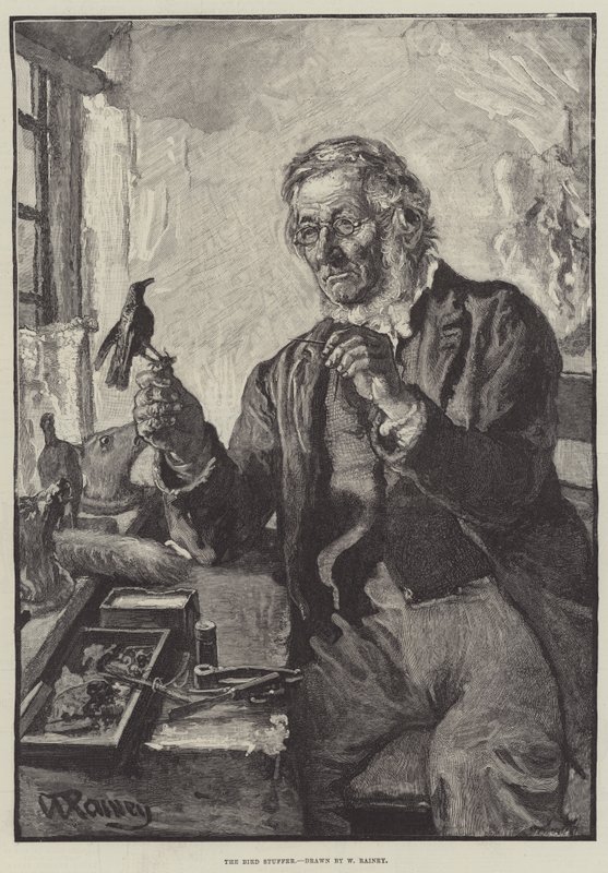 Fågelstopparen av William Rainey