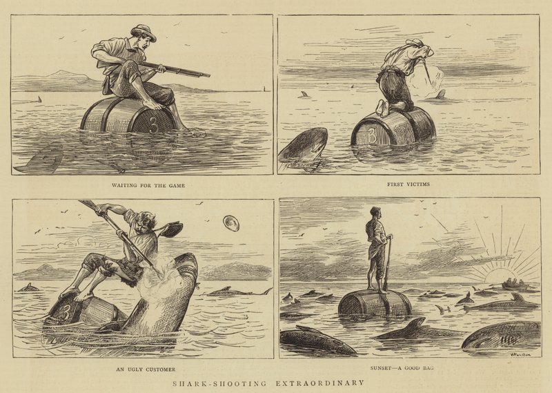 Shark-Shooting Extraordinärt av William Ralston