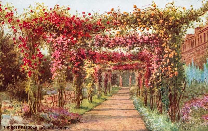 Rosenpergolan, Kew Gardens av William Affleck Carruthers