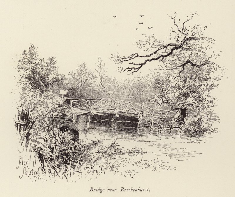 Bro nära Brockenhurst (gravyr) av William Alexander Ansted