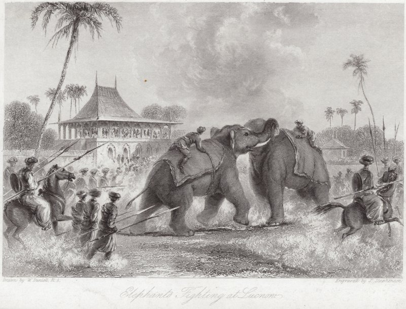 Elefanter slåss vid Lucknow av William Daniell