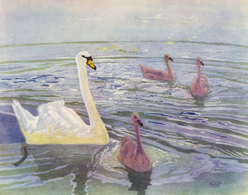swedish av William Giles