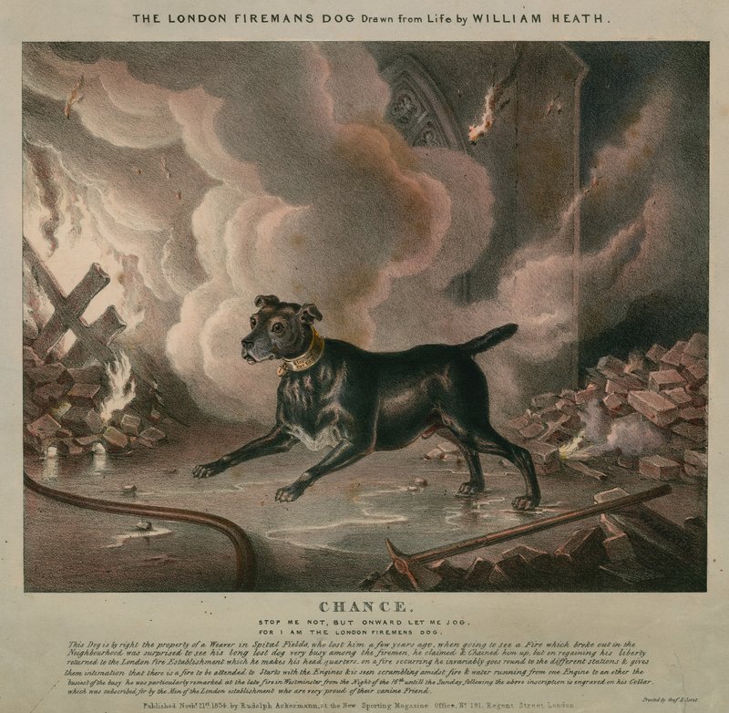Londonbrandmannens hund av William Heath