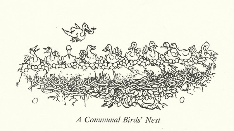 Ett gemensamt fågelbo (litho) av William Heath Robinson