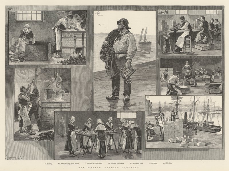 Den franska sardinindustrin av William Heysham Overend